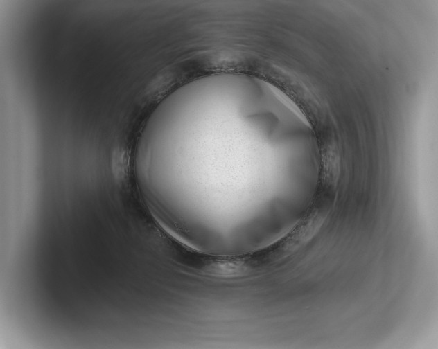 X0000101420278200807211135