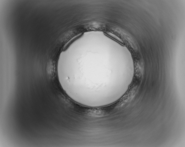 X0000101420284200807211135