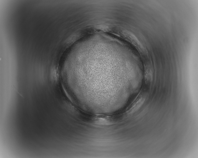 X0000101420285200807211135