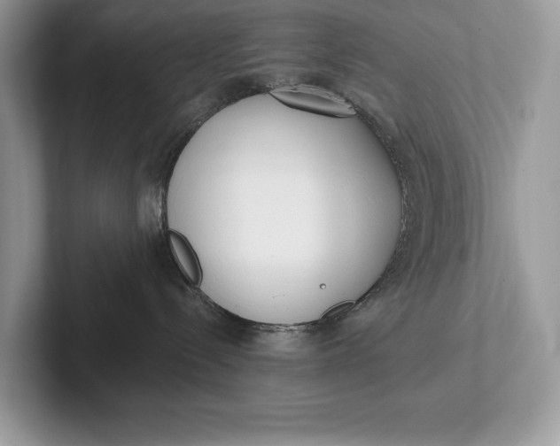 X0000101420288200807211135