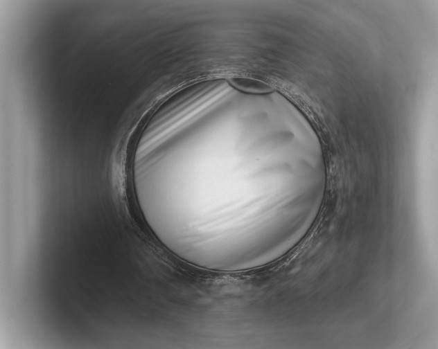 X0000101420290200807211135