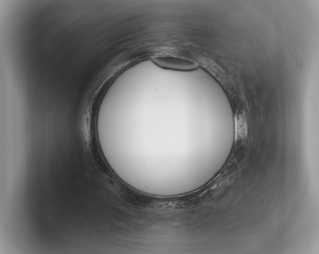 X0000101420291200807211135