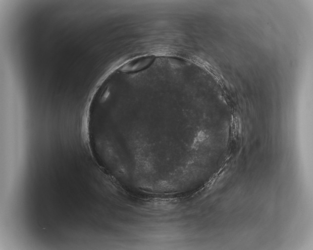 X0000101420292200807211135