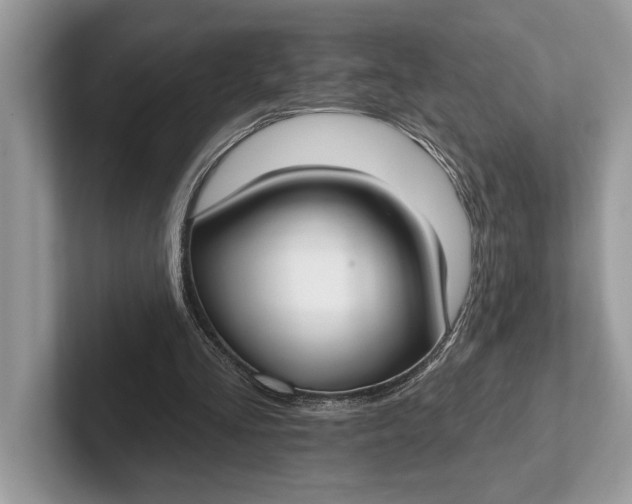 X0000101420293200807211135