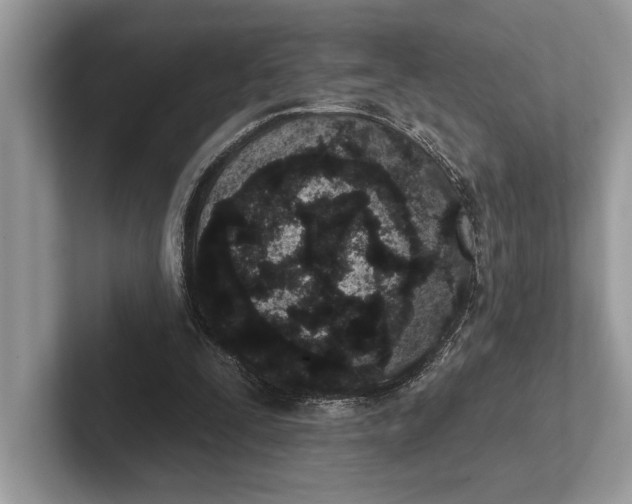 X0000101420295200807211134