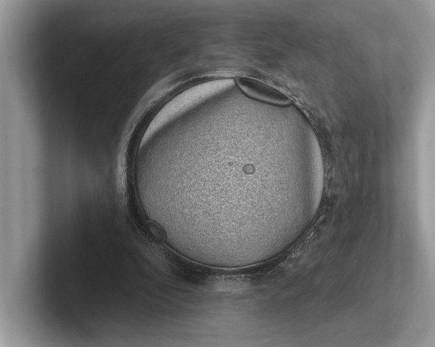 X0000101420296200807211134