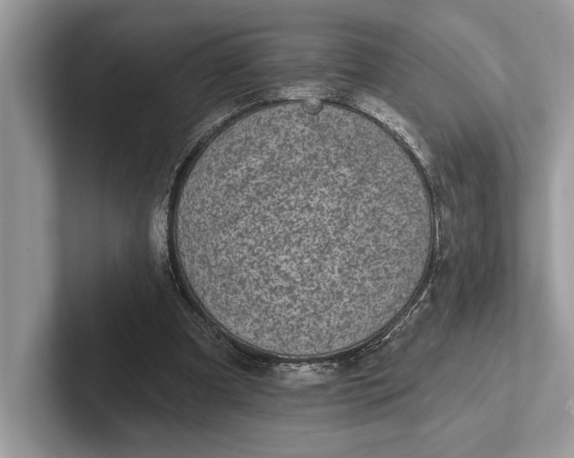 X0000101420297200807211134
