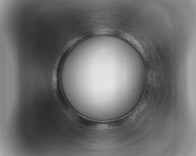X0000101420298200807211134