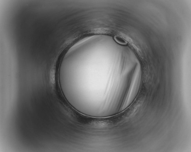 X0000101420299200807211134