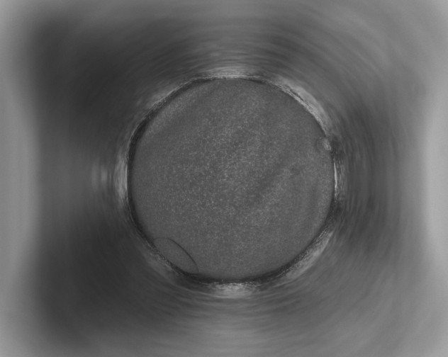 X0000101420301200807211134