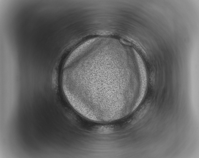 X0000101420303200807211134
