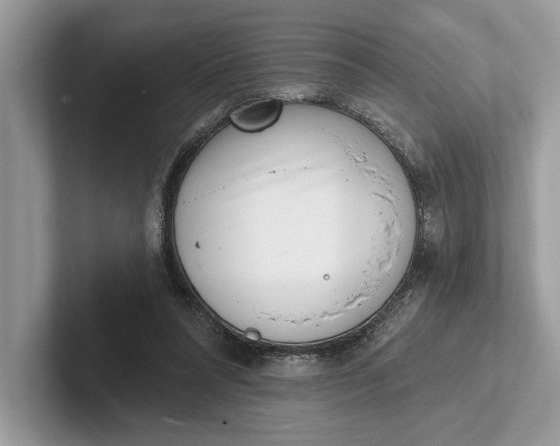 X0000101420304200807211134