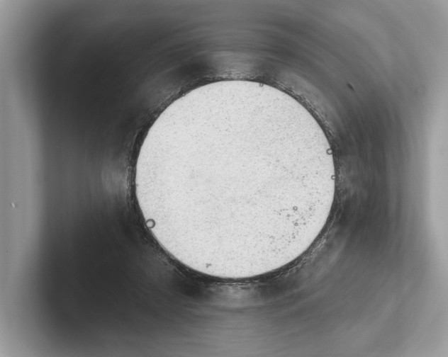 X0000101420305200807211134