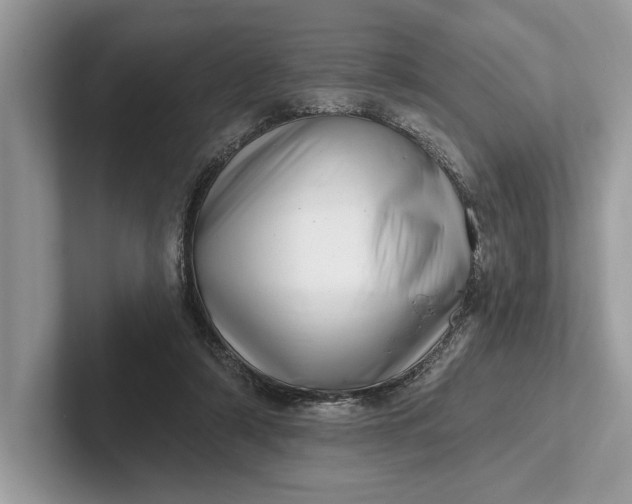 X0000101420306200807211134