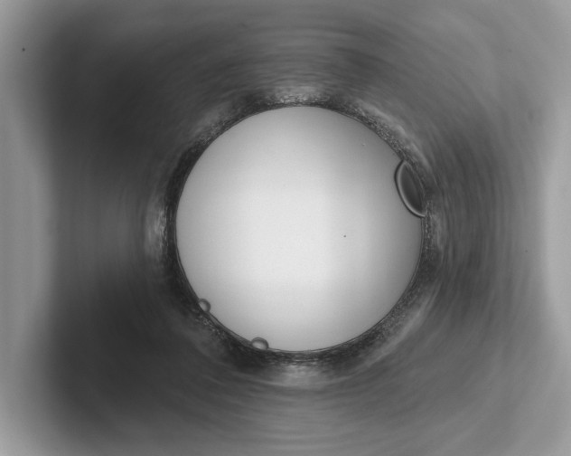 X0000101420308200807211134