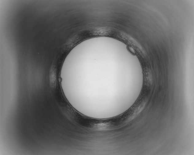 X0000101420312200807211134