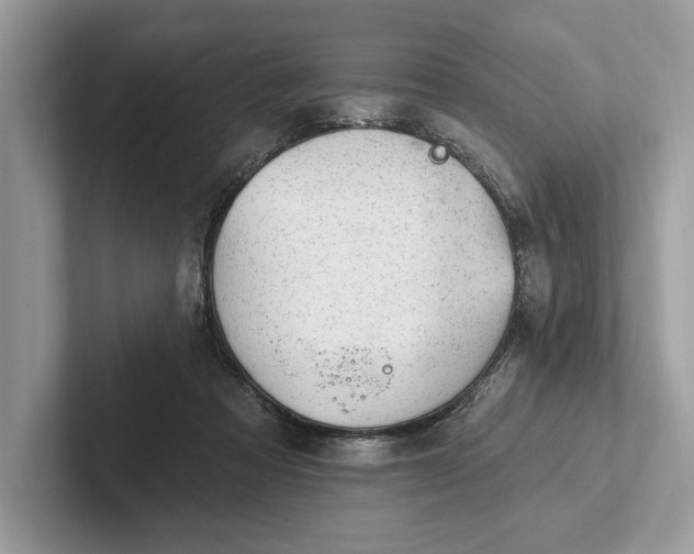 X0000101420313200807211134