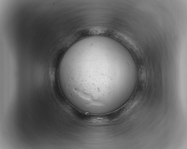 X0000101420315200807211134
