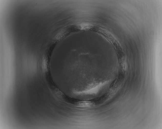 X0000101420316200807211134