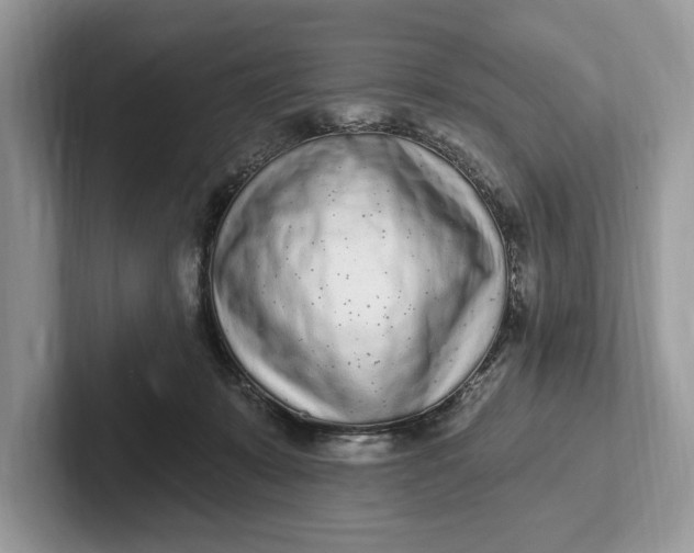 X0000101420319200807211134