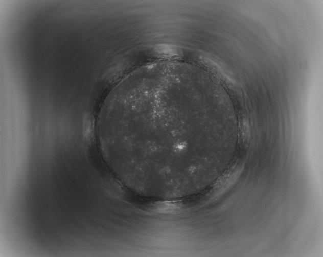 X0000101420320200807211134