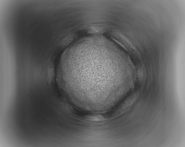 X0000101420322200807211134