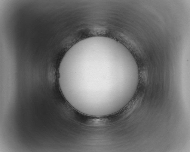 X0000101420323200807211134
