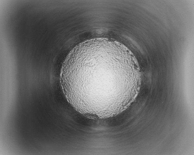 X0000101420324200807211134