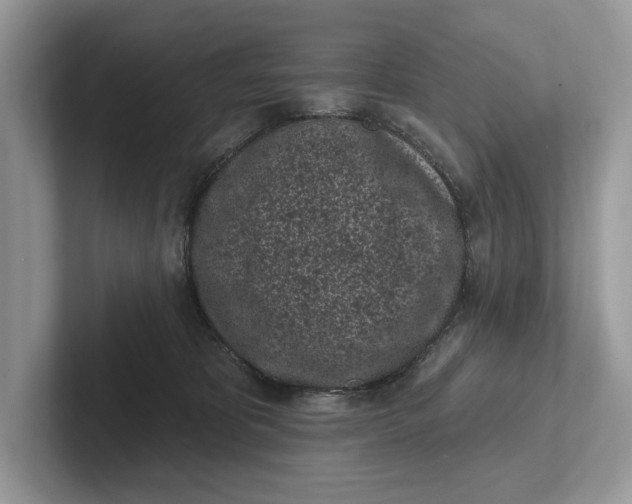X0000101420325200807211134