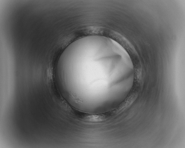 X0000101420326200807211134