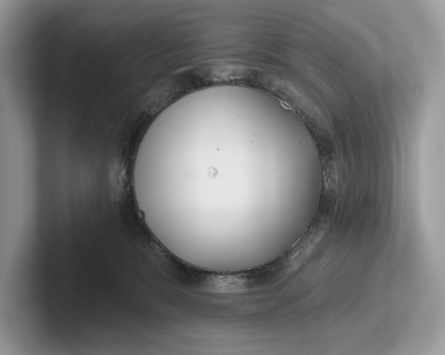 X0000101420327200807211134