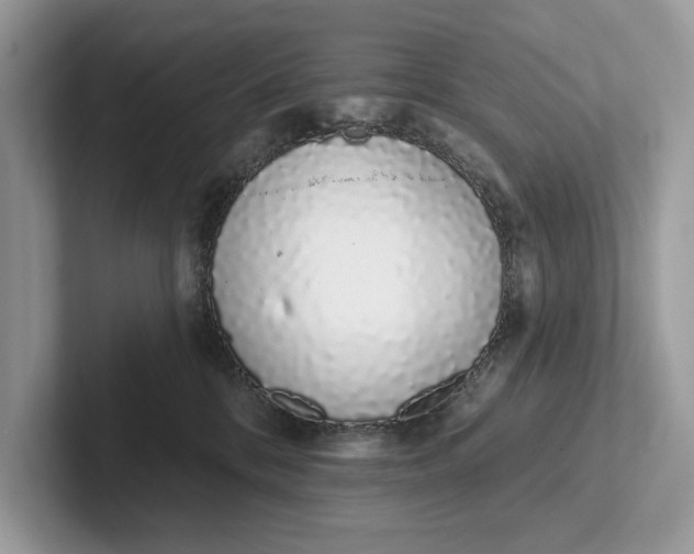 X0000101420328200807211134
