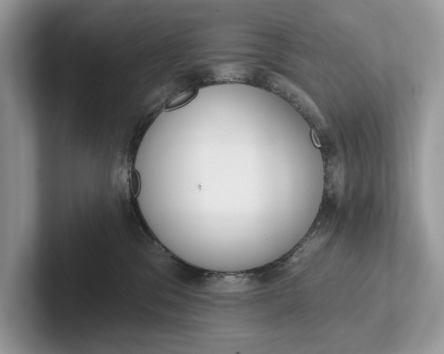 X0000101420329200807211134