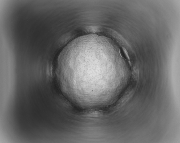 X0000101420330200807211134