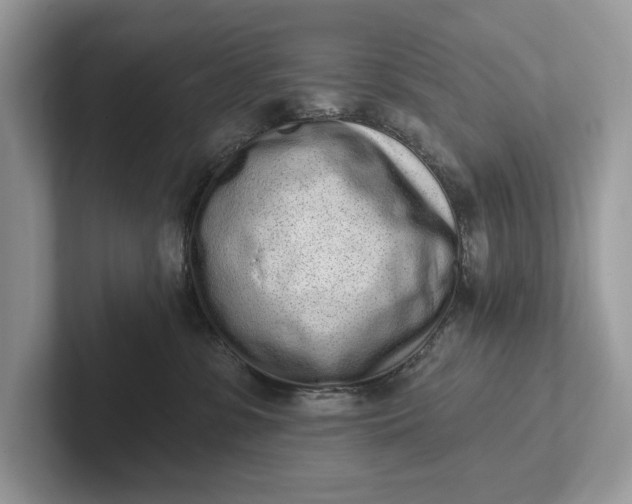 X0000101420331200807211134