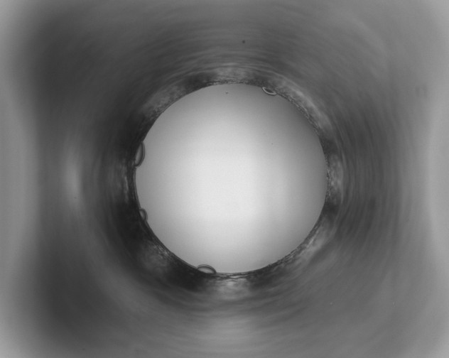 X0000101420333200807211134