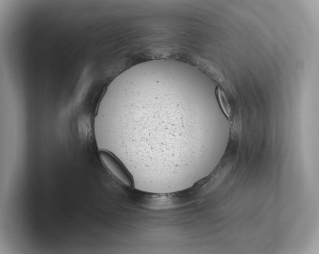 X0000101420335200807211134