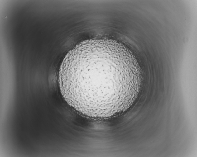 X0000101420336200807211134