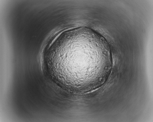 X0000101420339200807211133