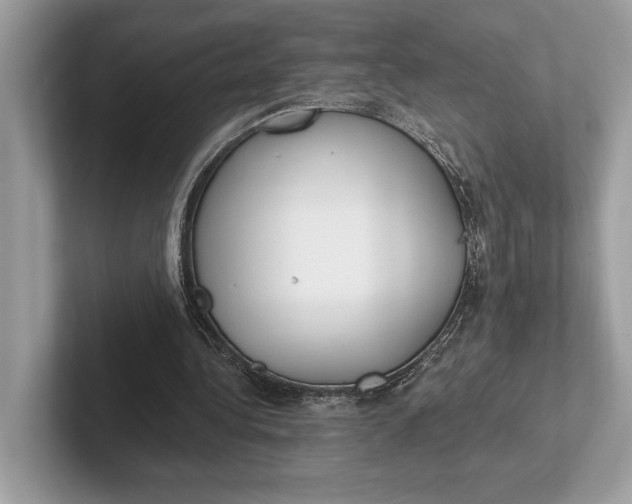 X0000101420340200807211133