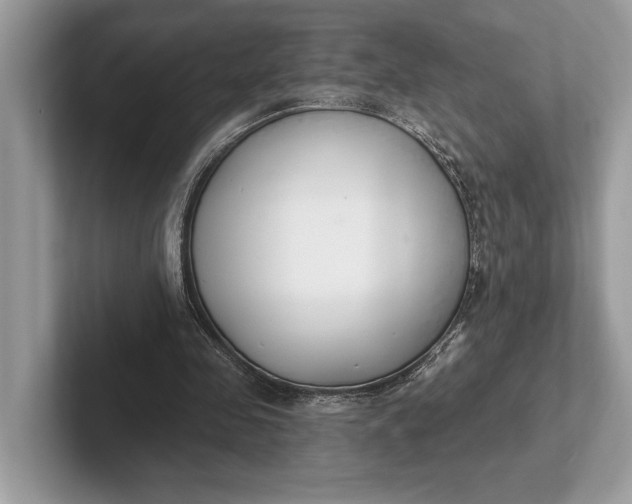 X0000101420341200807211133