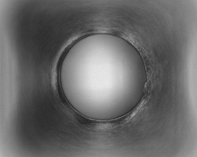X0000101420342200807211133