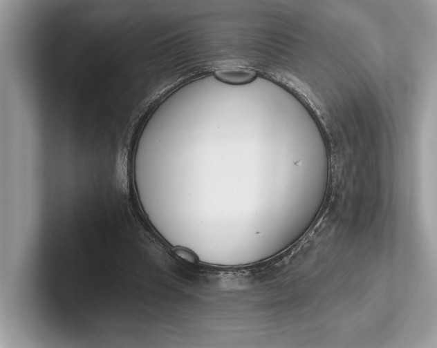 X0000101420345200807211133