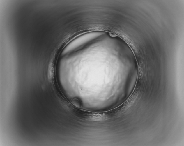X0000101420347200807211133