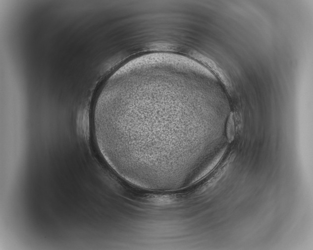 X0000101420349200807211133