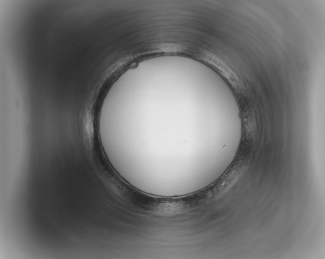 X0000101420350200807211133