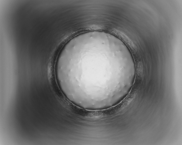 X0000101420351200807211133