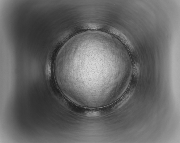 X0000101420358200807211134