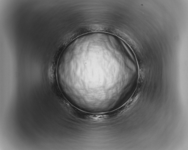 X0000101420359200807211134