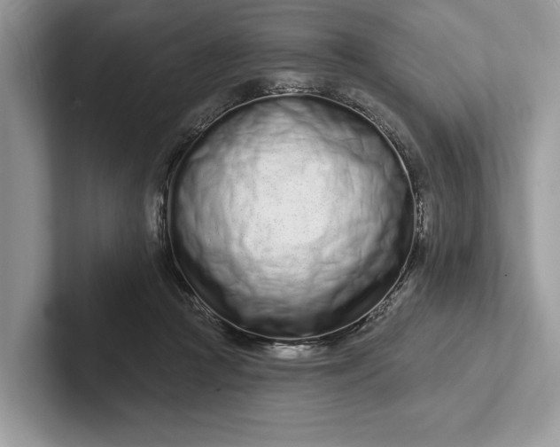 X0000101420361200807211134